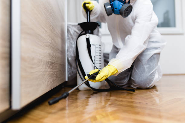 Best Best Pest Control Companies  in Wrightsville, PA