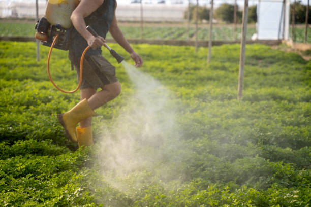 Best Pest Removal Services  in Wrightsville, PA