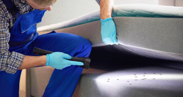 Best Residential Pest Control  in Wrightsville, PA