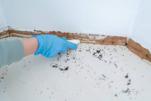 Best Commercial Pest Control Services  in Wrightsville, PA